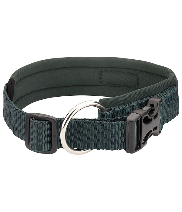 Collier pour chien  Becks