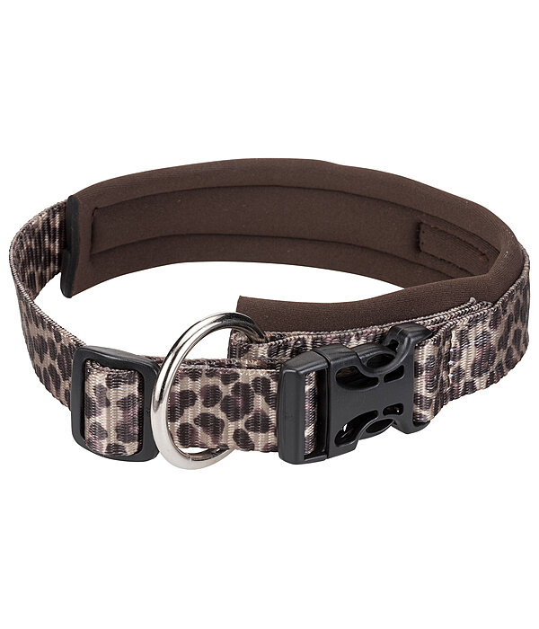 Collier pour chien  Becks