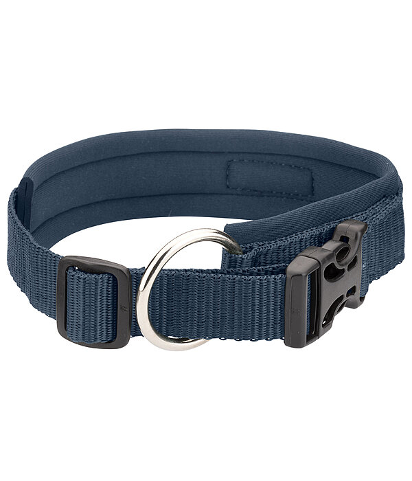 Collier pour chien  Becks