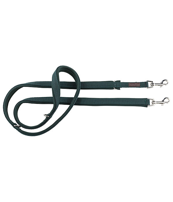 Laisse pour chien  Jade