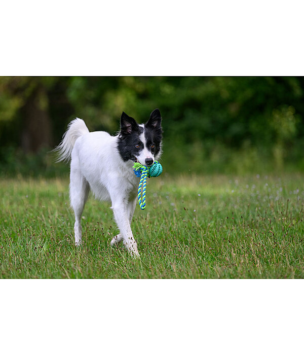 Jouet soins dentaires pour chien  Cleo