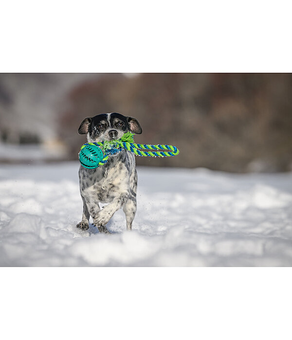 Jouet soins dentaires pour chien  Cleo