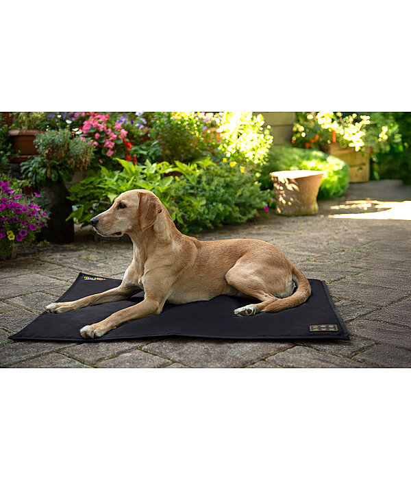 Coussin thermique pour chien  Ceramic Rehab