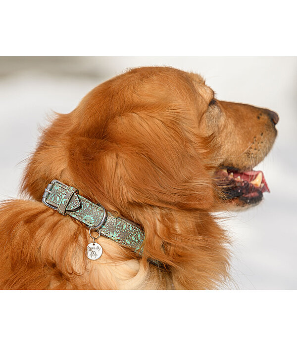 Collier pour chien  Shattered Mosaic