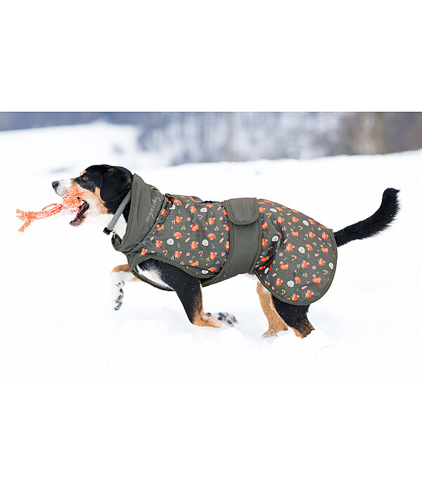 Manteau d'hiver pour chiens  Squirrel, 100 g
