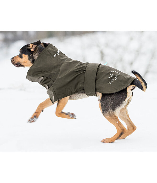 Manteau de pluie pour chiens  Everglades, 0 g
