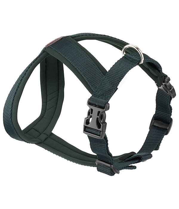 Harnais pour chien  Piper