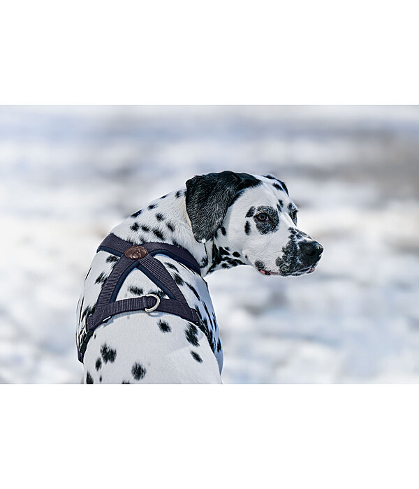 Harnais pour chien  Piper