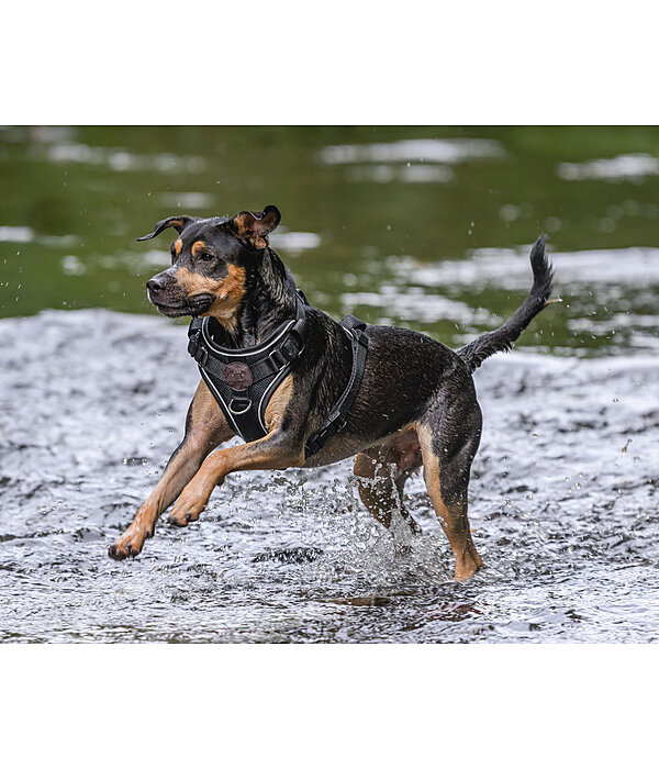 B-Ware : Harnais pour chiens avec poignée  Adventure Seeker