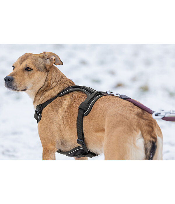 B-Ware : Harnais pour chien avec poignée  Adventure Seeker
