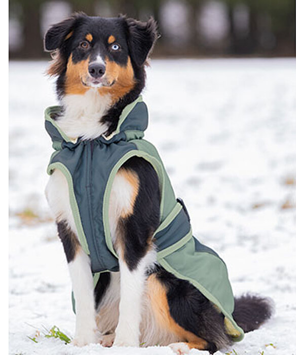 Manteau d'hiver pour chiens avec doublure en polaire Teddy, 100 g  Glacier Bay