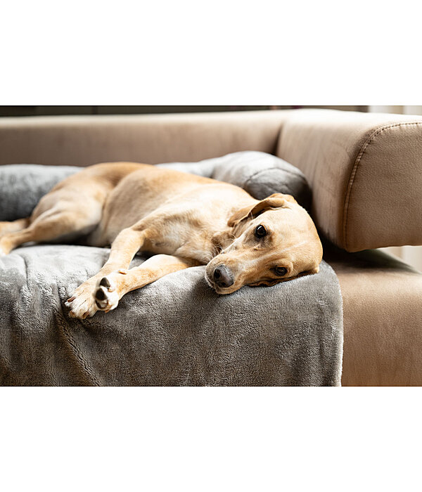 Couvre-canap�  Guard