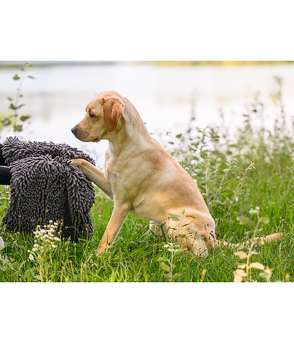 Serviette multifonction pour chien  Soulmate