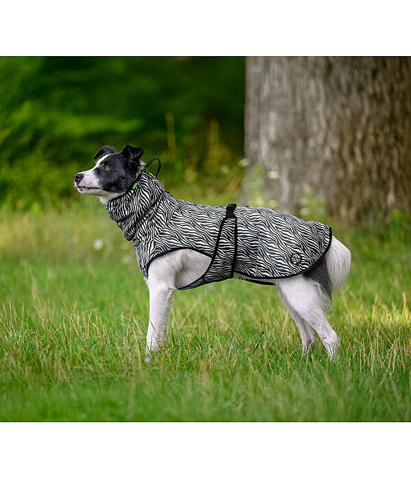 Manteau anti-mouches pour chien  Taiga