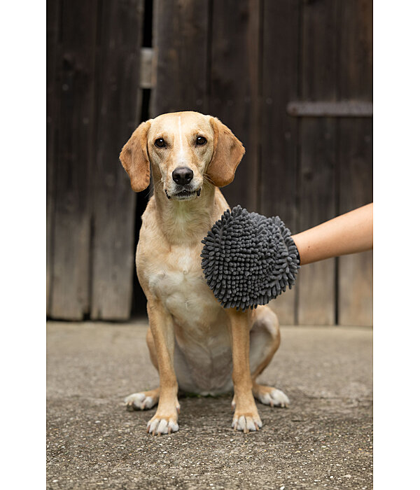 Gant de toilettage pour chien  Cosma