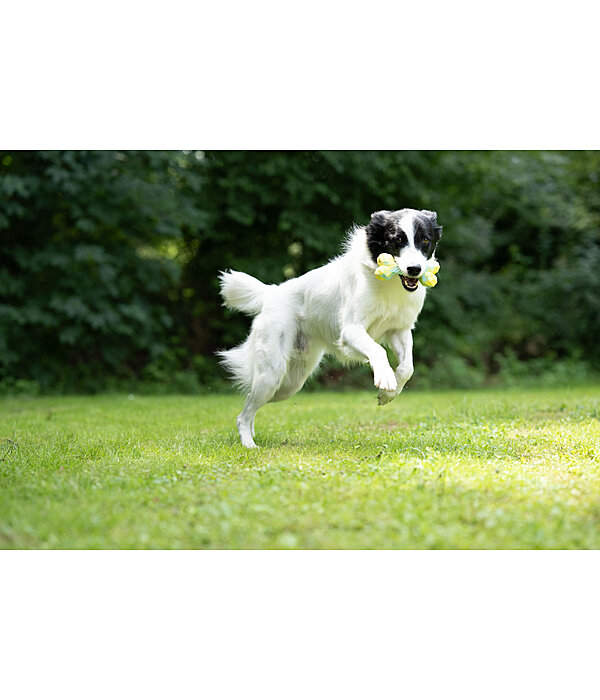 Jouet d'eau pour chien  Marble Bone