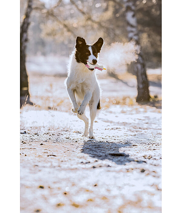 Jouet pour chien avec couineur   Unicorn