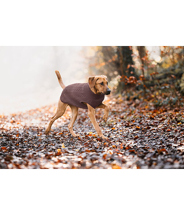 Pull col roul  Maisie