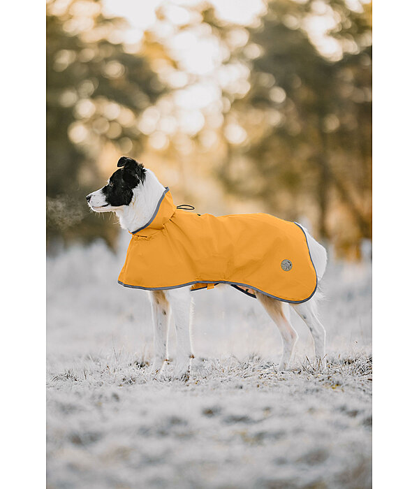 Manteau de pluie pour chien  Thousand Islands, 0 g