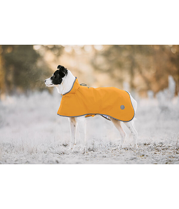 Manteau de pluie pour chien  Thousand Islands, 0 g