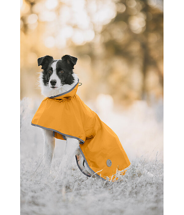 Manteau de pluie pour chien  Thousand Islands, 0 g