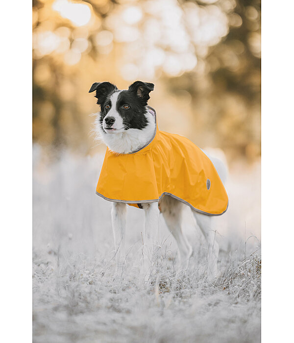 Manteau de pluie pour chien  Thousand Islands, 0 g