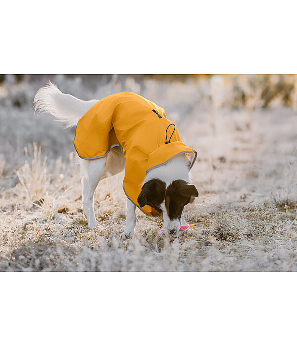 Manteau de pluie pour chien  Thousand Islands, 0 g