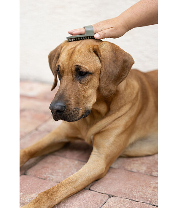 Brosse pour chien  Zeyna