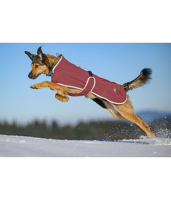 Manteau pour chien softshell avec col polaire  Frida