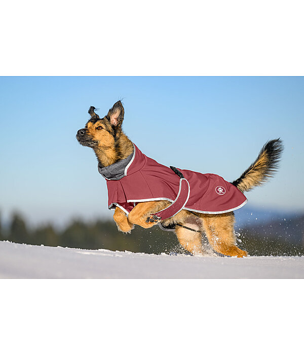 Manteau pour chien softshell avec col polaire  Frida