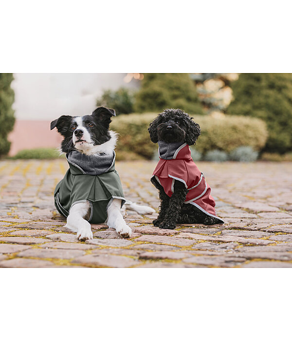 Manteau pour chien softshell avec col polaire  Frida