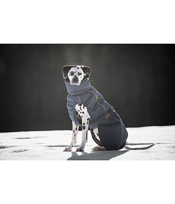 Manteau d'hiver pour chien  Marlon, 200-300 g