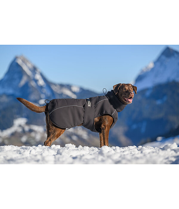 Manteau d'hiver pour chien  Marlon, 200-300 g