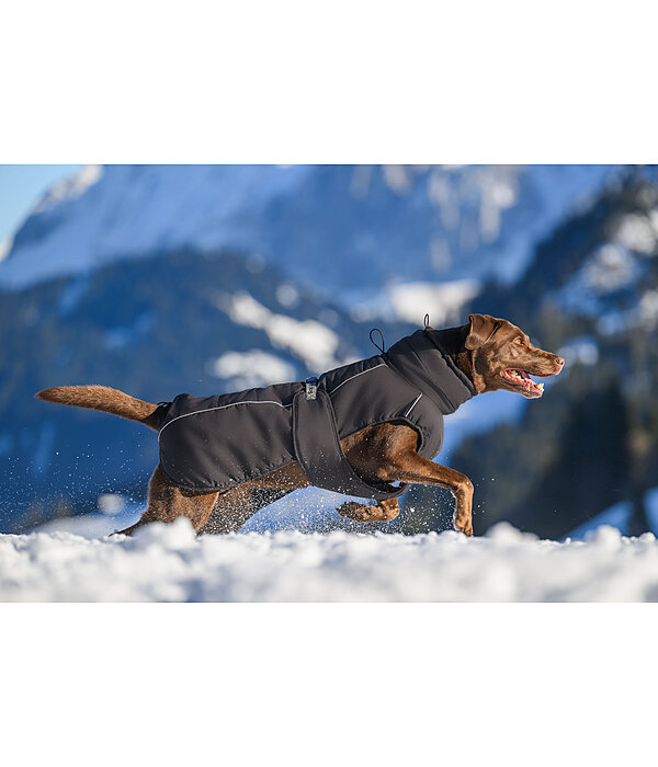 Manteau d'hiver pour chien  Marlon, 200-300 g