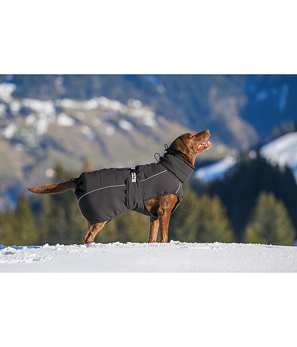 Manteau d'hiver pour chien  Marlon, 200-300 g