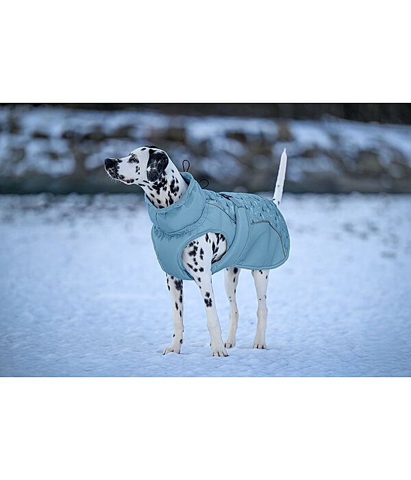 Manteau d'hiver pour chien  Wonderland, 140 g
