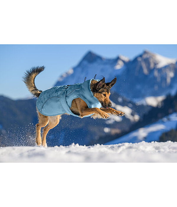 Manteau d'hiver pour chien  Wonderland, 140 g