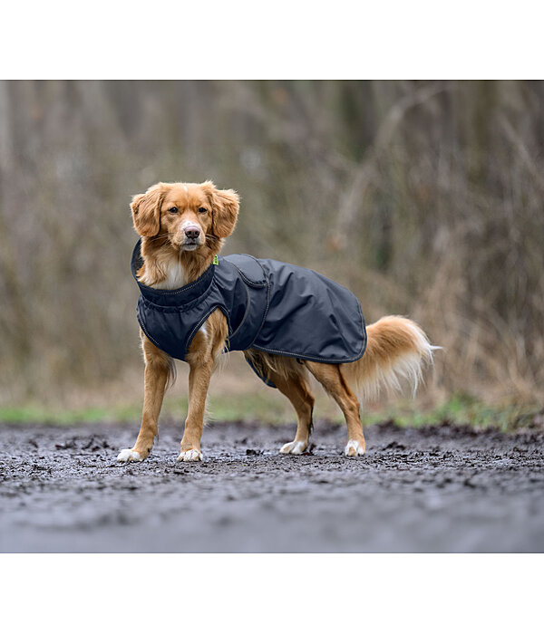 Manteau de pluie pour chien  Forest Drizzle, 50 g