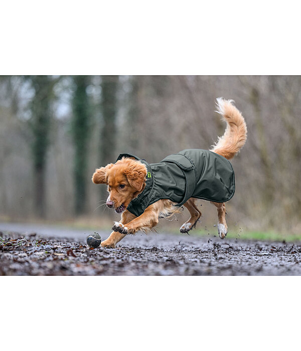 Manteau de pluie pour chien  Forest Drizzle, 50 g