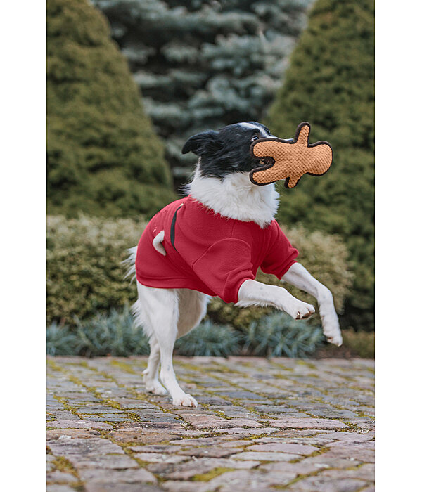 Jouet pour chien  Gingerman