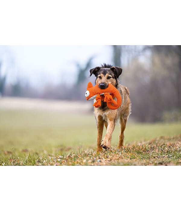 Jouet pour chien  Chameleon