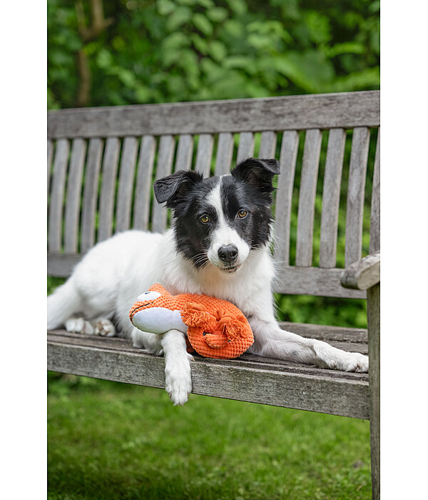 Jouet pour chien  Chameleon