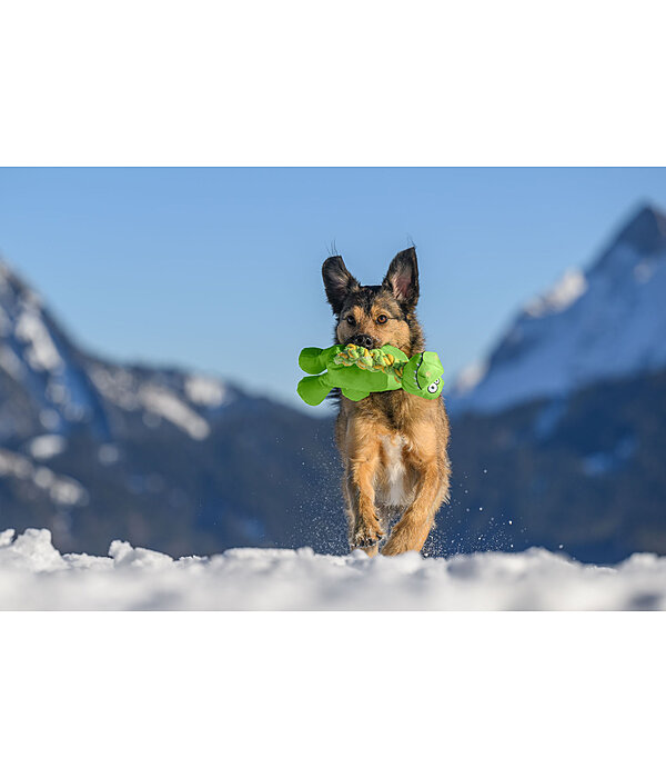 Jouet pour chien  Strong Dino