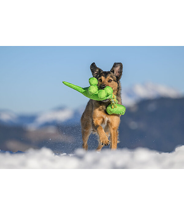 Jouet pour chien  Strong Dino