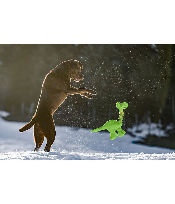 Jouet pour chien  Strong Dino