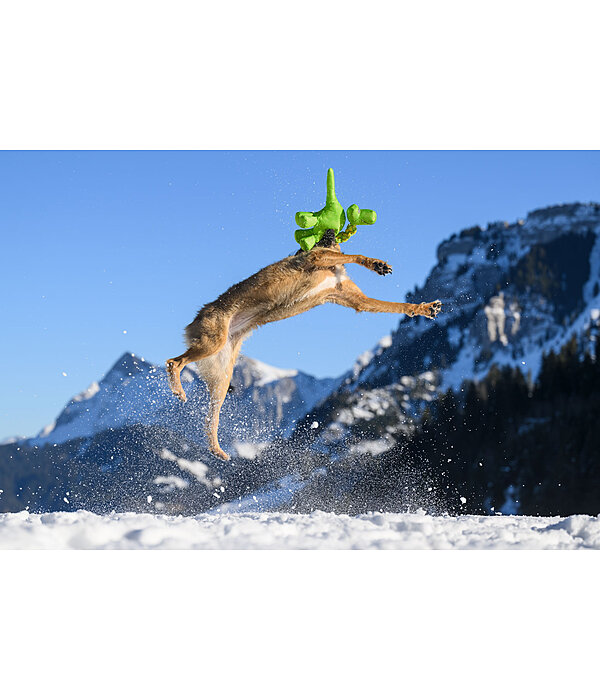 Jouet pour chien  Strong Dino