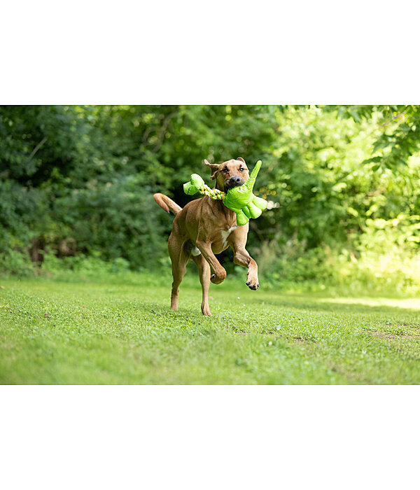 Jouet pour chien  Strong Dino