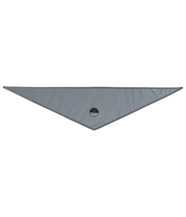 Foulard rflchissant pour chien