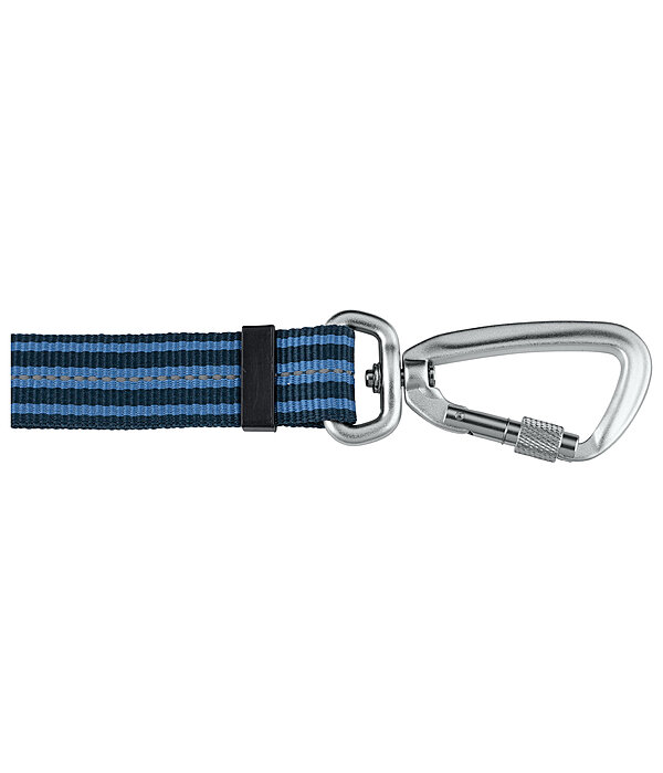 Laisse pour chien  Comfort Fit
