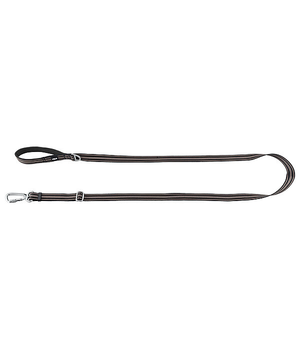 Laisse pour chien  Comfort Fit
